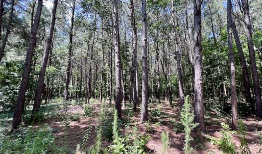 Photo #12 of Off Hewitt Rd, Richlands, NC 13.0 acres