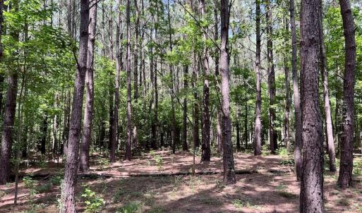 Photo #13 of Off Hewitt Rd, Richlands, NC 13.0 acres
