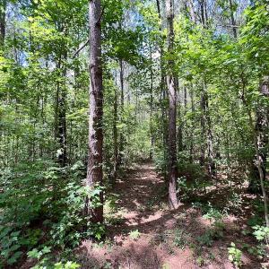 Photo #14 of Off Hewitt Rd, Richlands, NC 13.0 acres