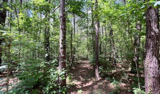 Photo #14 of Off Hewitt Rd, Richlands, NC 13.0 acres