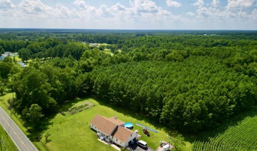 Photo #3 of Off Hewitt Rd, Richlands, NC 13.0 acres
