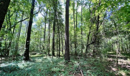 Photo #23 of Off Hewitt Rd, Richlands, NC 13.0 acres
