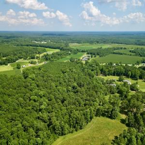 Photo #7 of Off Hewitt Rd, Richlands, NC 13.0 acres